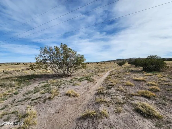 $488,910 | 1470 East Concho Highway, Concho, AZ 85924