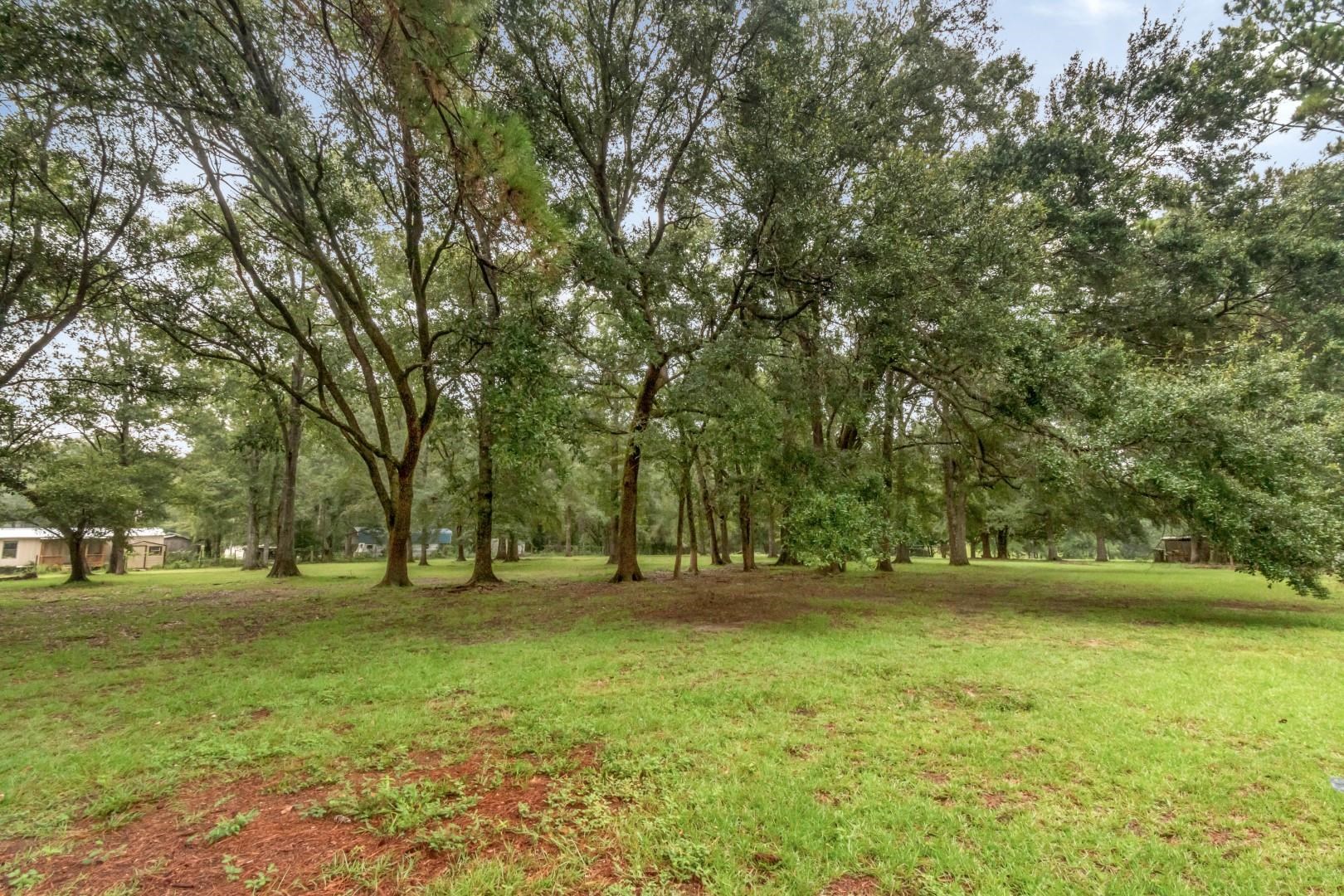 19108 Rada Road Silverhill, AL 36576 - Photo 4 of 11 Yard