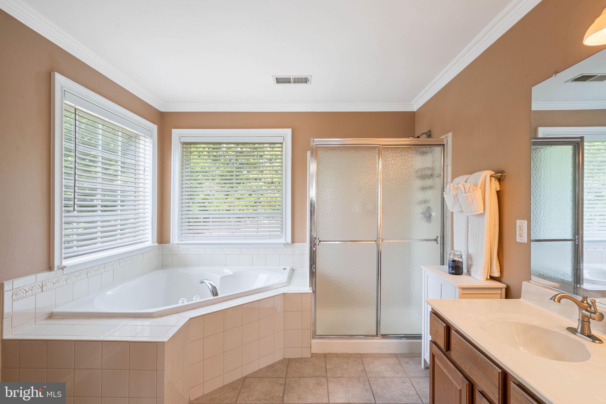 11002 Park Ridge Road Fredericksburg, VA 22408 - Photo 24 of 51 primary bathroom, soaking tub & tile flooring