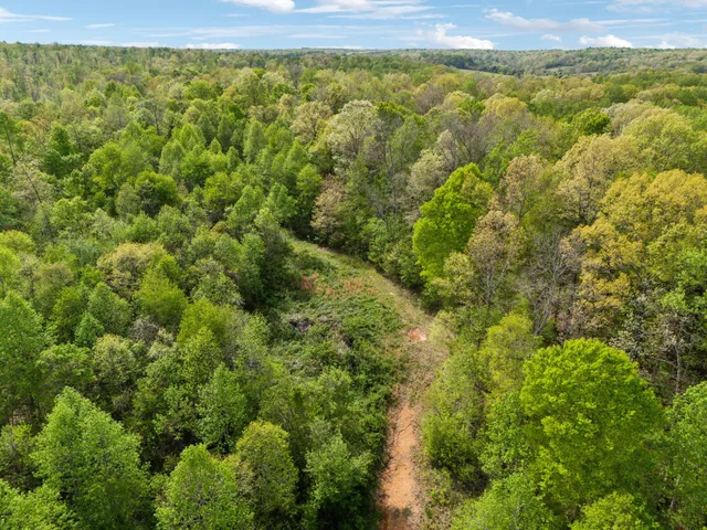 $799,000 | 13128 Highway 49, Erin, TN 37061