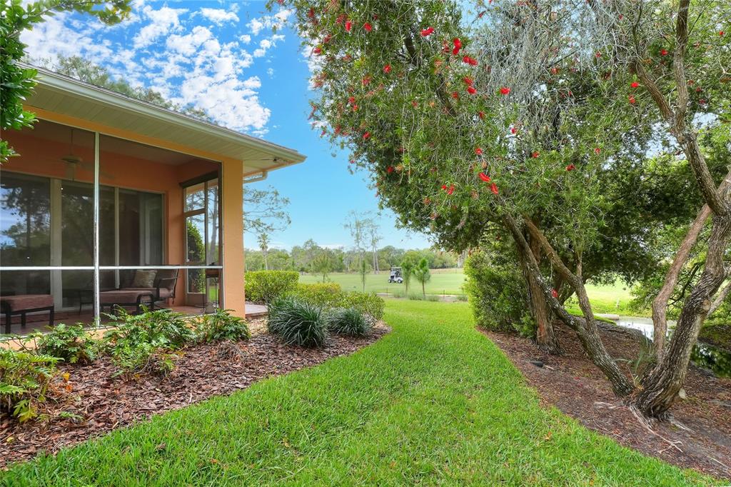 2968 Plantation Road Winter Haven, FL 33884 - Photo 65 of 81 a view of a backyard with potted plants and large tree
