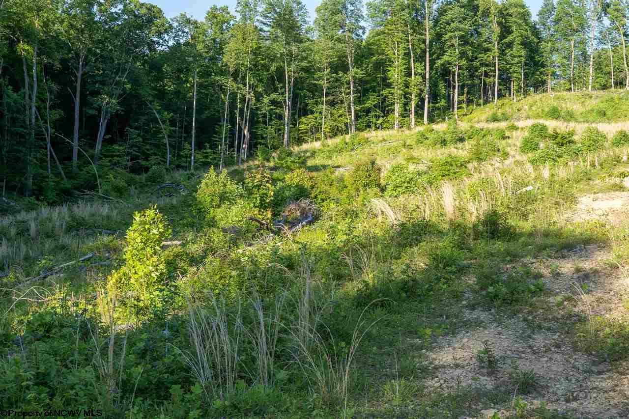 Tbd Hunter Ridge Road Rock Cave, WV 26234 - Photo 12 of 20 Gallery Image 12