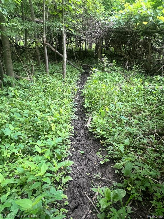 0 Ducker Road Marlette, MI 48453 - Photo 16 of 44