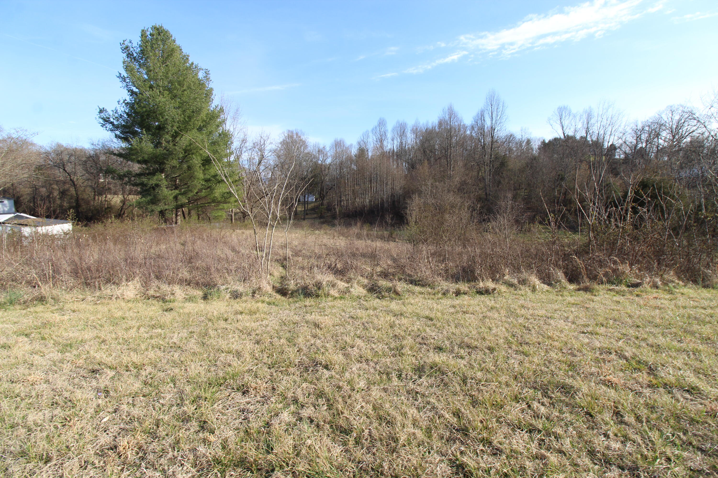 571 Meadow View Road Bristol, TN 37620 - Photo 7 of 26 IMG_6997