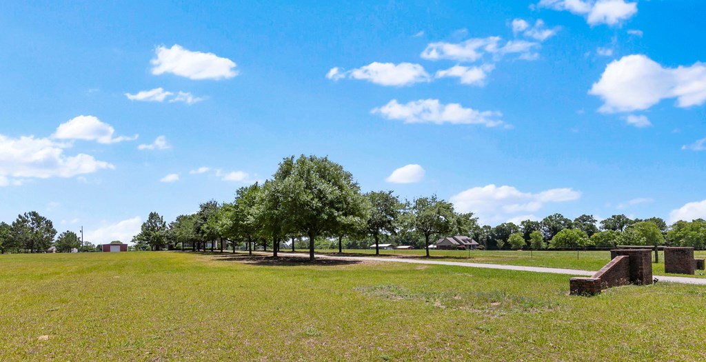 645 Windmill Road Newton, AL 36352 - Photo 109 of 123