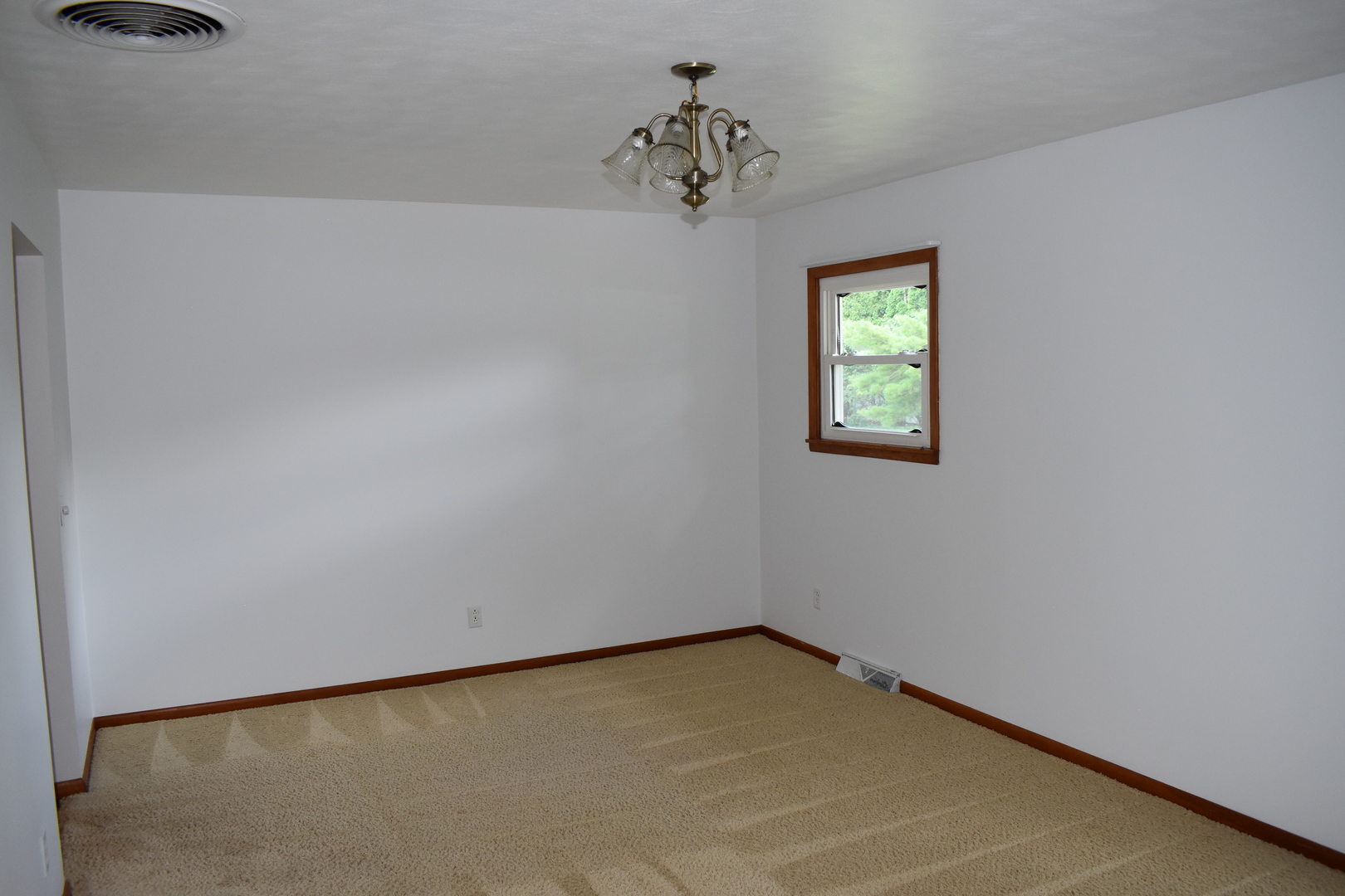 301 East Ririe Place Flanagan, IL 61740 - Photo 7 of 28