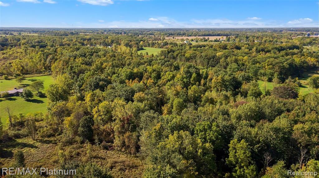 Vl Whitney Road Gaines, MI 48436 - Photo 10 of 10