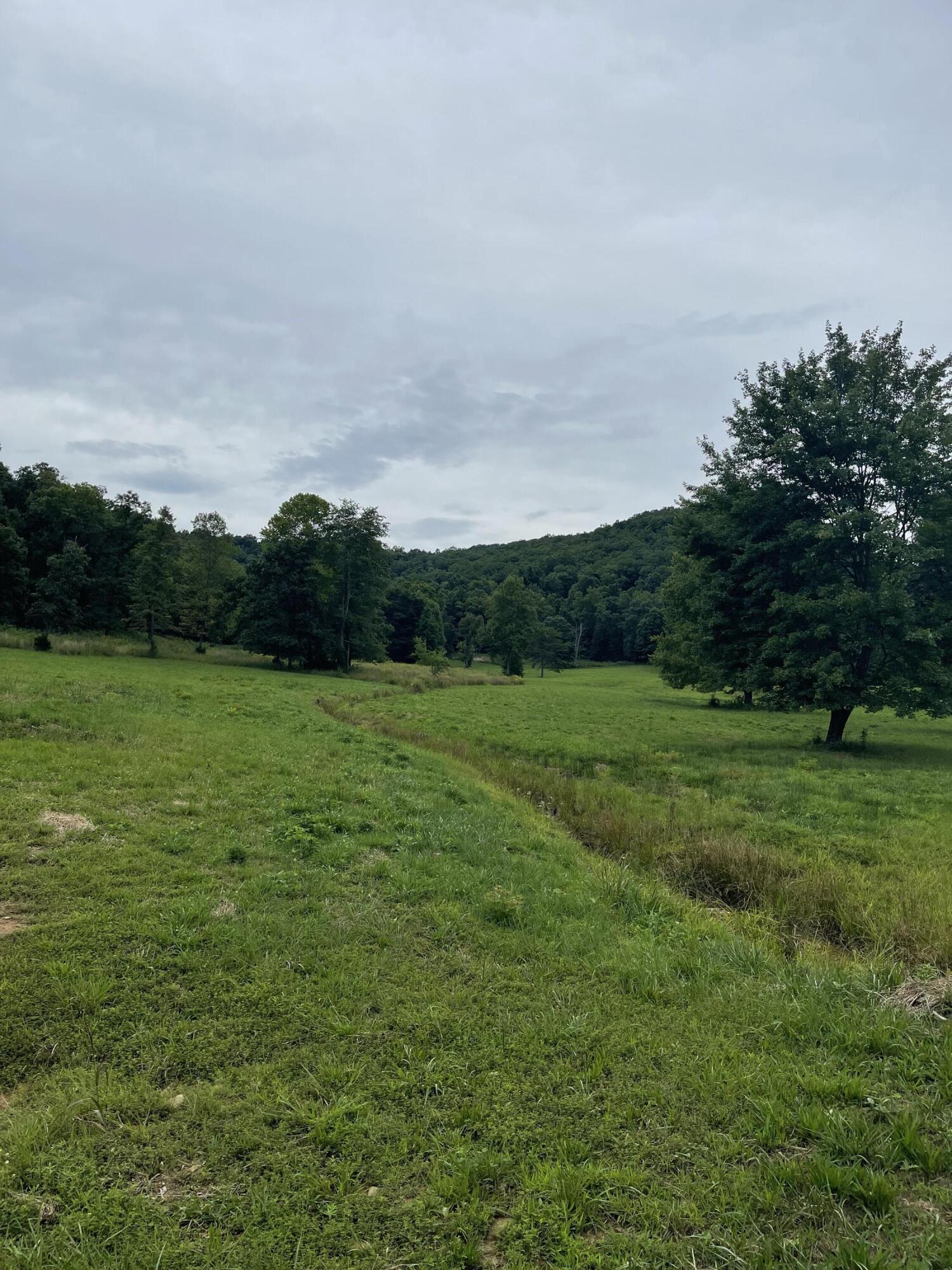 0 Watson Road Hillsboro, KY 41049 - Photo 7 of 7 45056623-C9A6-4487-935E-7E789991008F