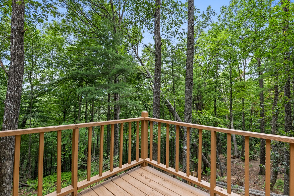 329 Northside Mountain Road Suches, GA 30572 - Photo 20 of 33 Gallery Image 20