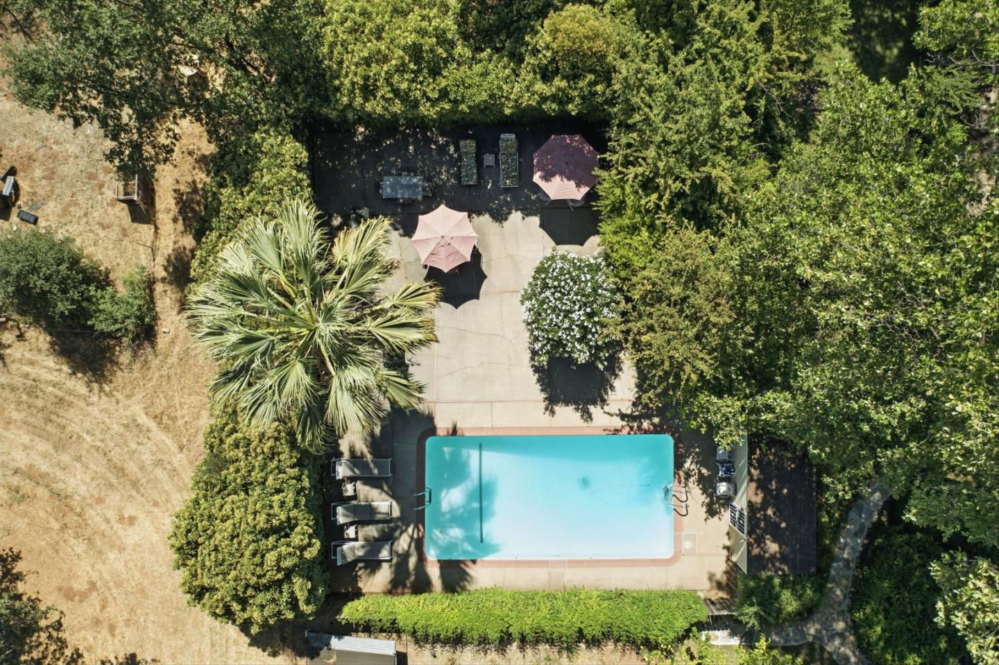 1330 Jackson Gate Road Jackson, CA 95642 - Photo 3 of 72 a view of a yard with a tree