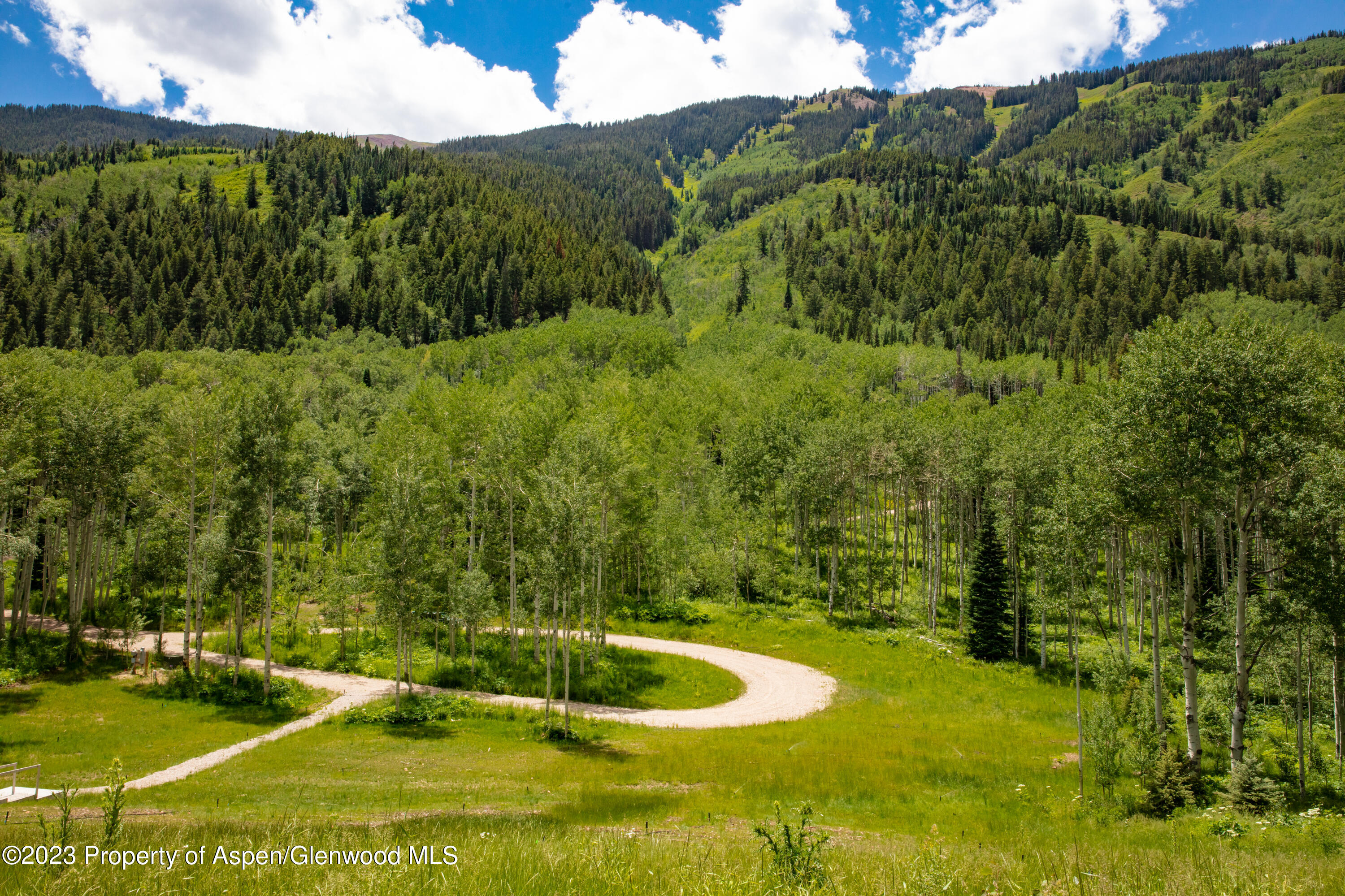 640 South Hayden Road Aspen, CO 81611 - Photo 10 of 42 3