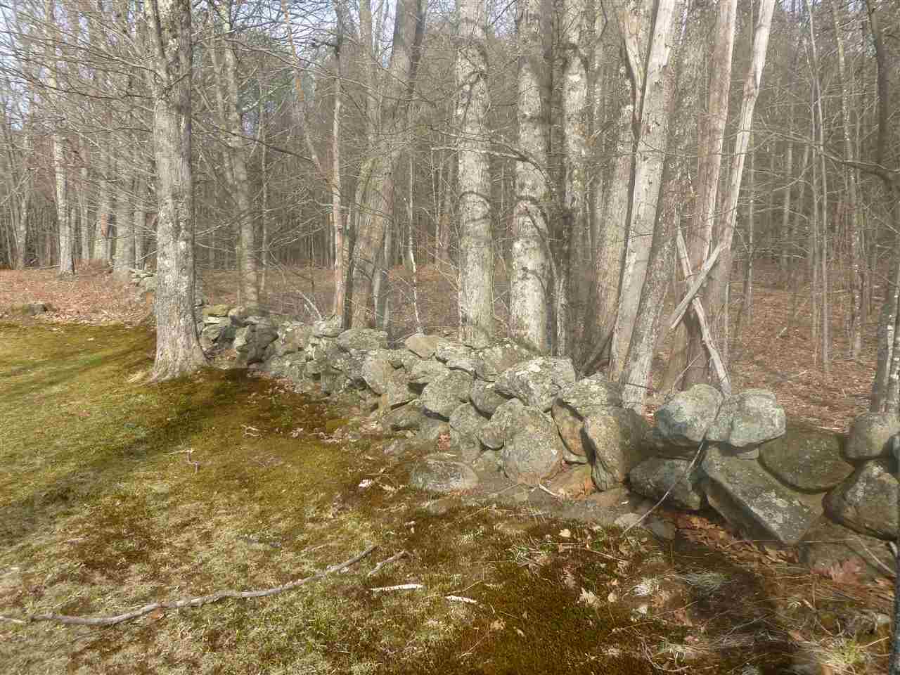 Lot 409-70 Middle Route Gilmanton Iron Works, NH 03837 - Photo 3 of 7