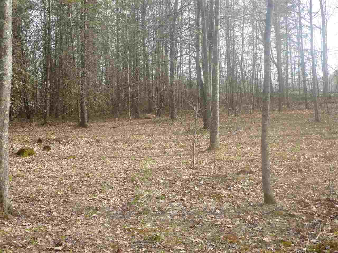 Lot 409-70 Middle Route Gilmanton Iron Works, NH 03837 - Photo 4 of 7