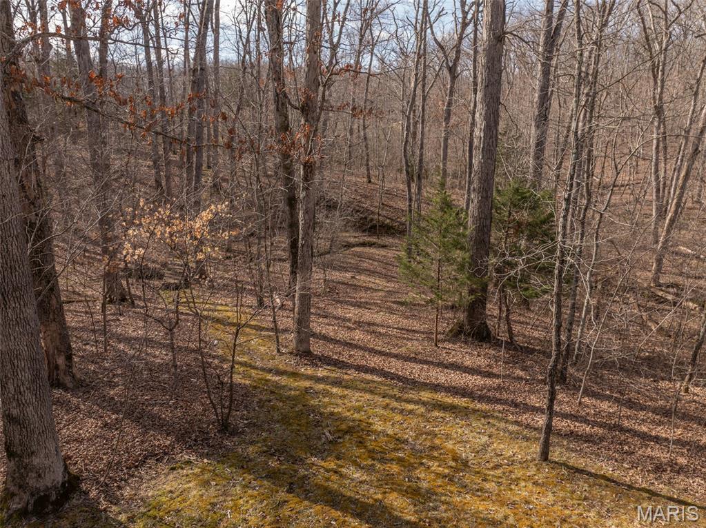 633 Wunderbar Point Drive Innsbrook, MO 63390 - Photo 29 of 40