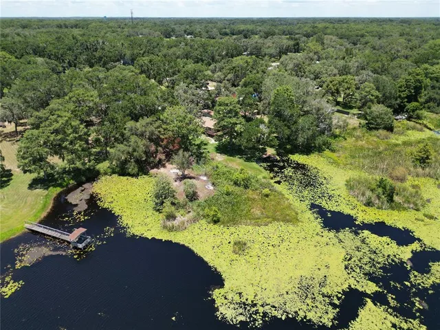 a view of a forest with a lake