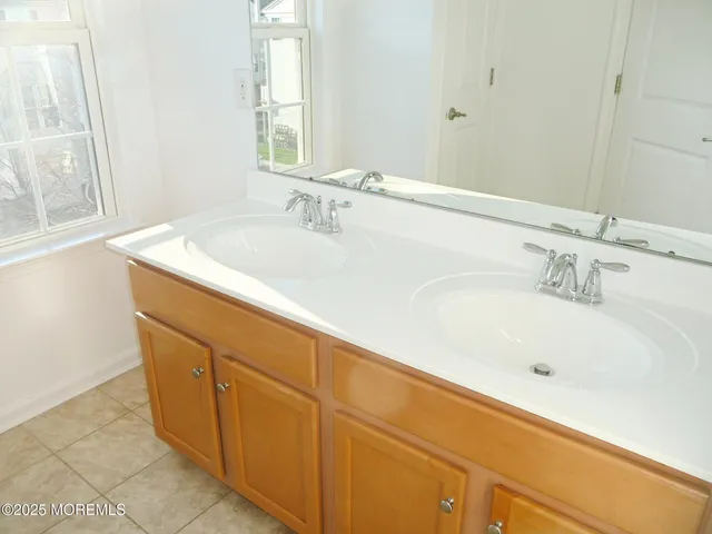 a bathroom with a sink and a large mirror