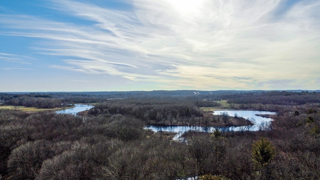 39 Walsh Road Newton, MA 02459 - Photo 36 of 42