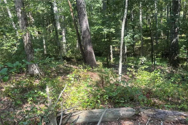 $525,000 | 9700 South Helton Road, Winston, GA 30187