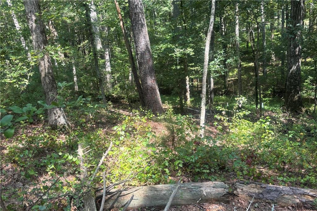 9700 South Helton Road Winston, GA 30187 - Photo 56 of 65