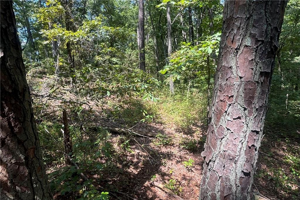 9700 South Helton Road Winston, GA 30187 - Photo 57 of 65