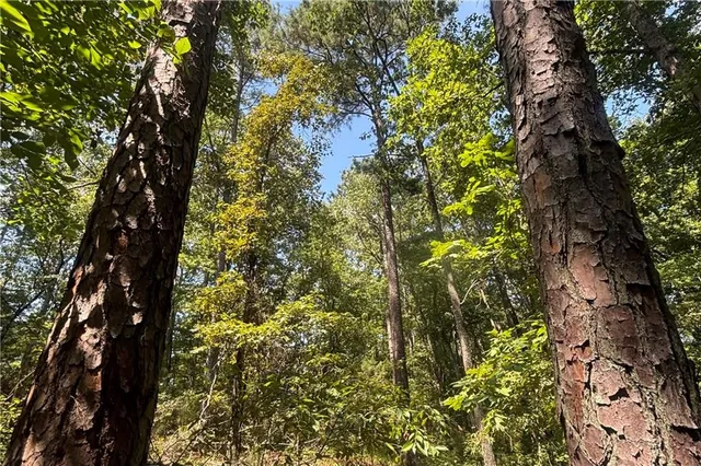 $525,000 | 9700 South Helton Road, Winston, GA 30187