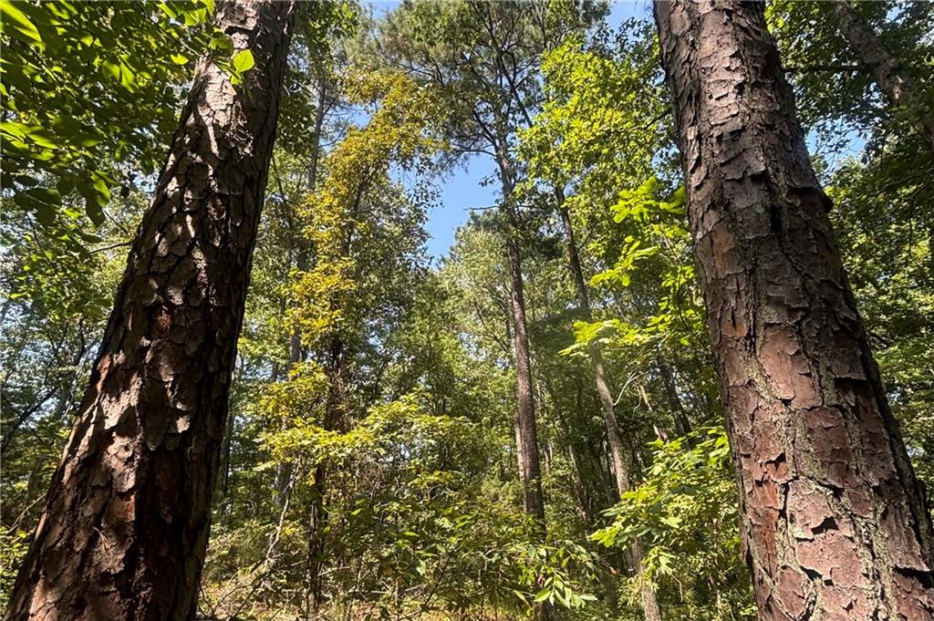 9700 South Helton Road Winston, GA 30187 - Photo 58 of 65