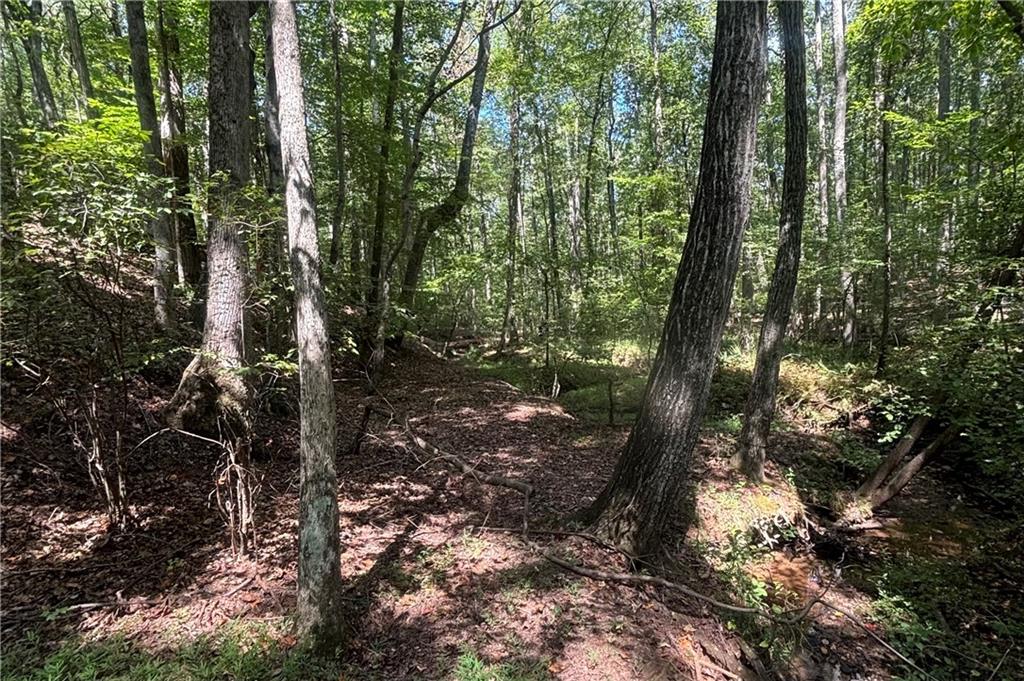 9700 South Helton Road Winston, GA 30187 - Photo 59 of 65