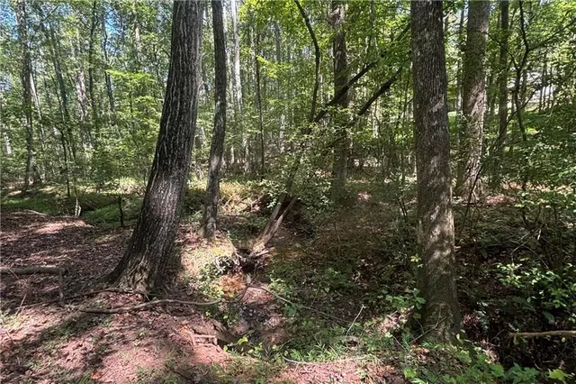 $525,000 | 9700 South Helton Road, Winston, GA 30187