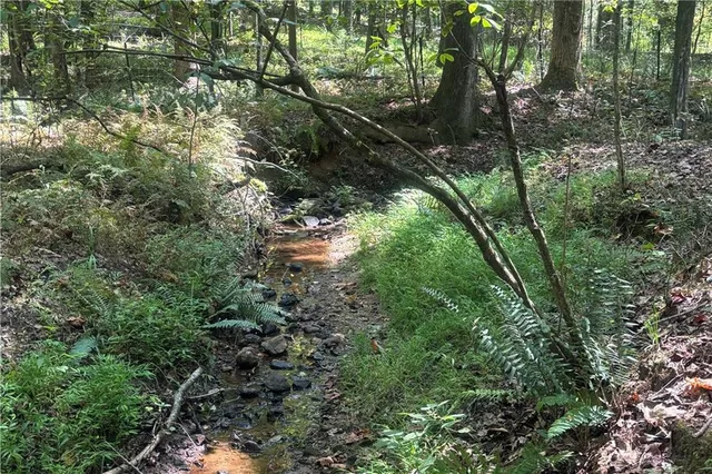 $525,000 | 9700 South Helton Road, Winston, GA 30187