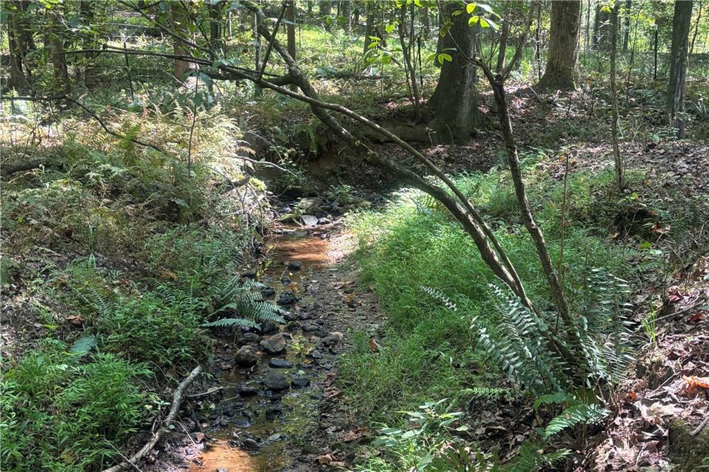 9700 South Helton Road Winston, GA 30187 - Photo 63 of 65