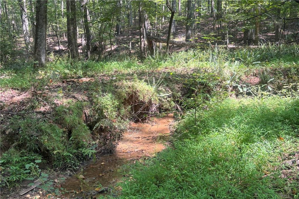 9700 South Helton Road Winston, GA 30187 - Photo 65 of 65