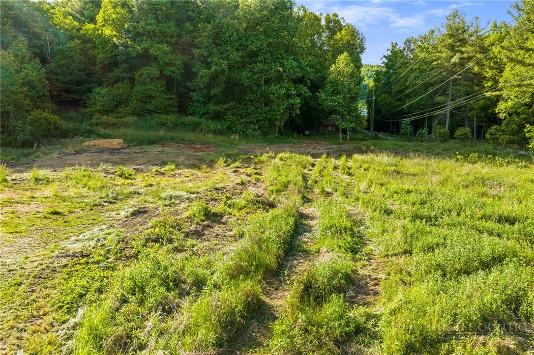 657 Lawrence Greene Road Deep Gap, NC 28618 - Photo 12 of 25 a view of a backyard