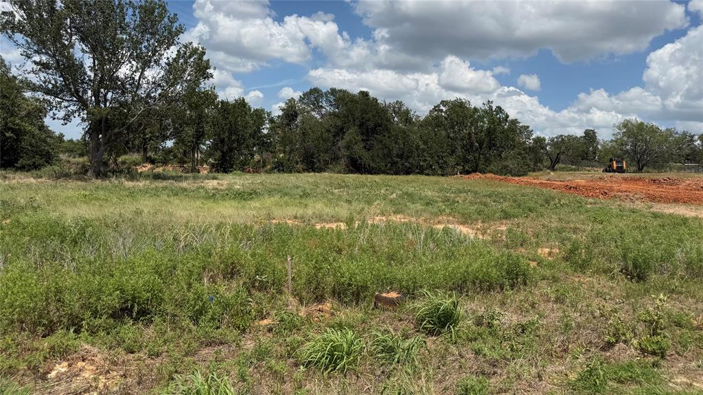 1175 Gonzollas Road Springtown, TX 76082 - Photo 1 of 4 Open parcel of land featuring natural vegetation and partial clearing