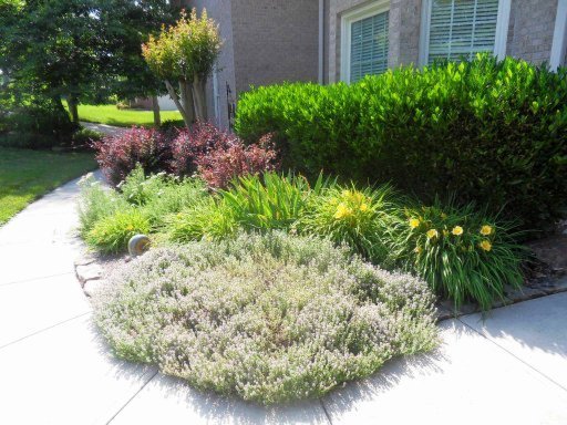18 Rockingham Road Oak Ridge, TN 37830 - Photo 2 of 35 Additional Photo