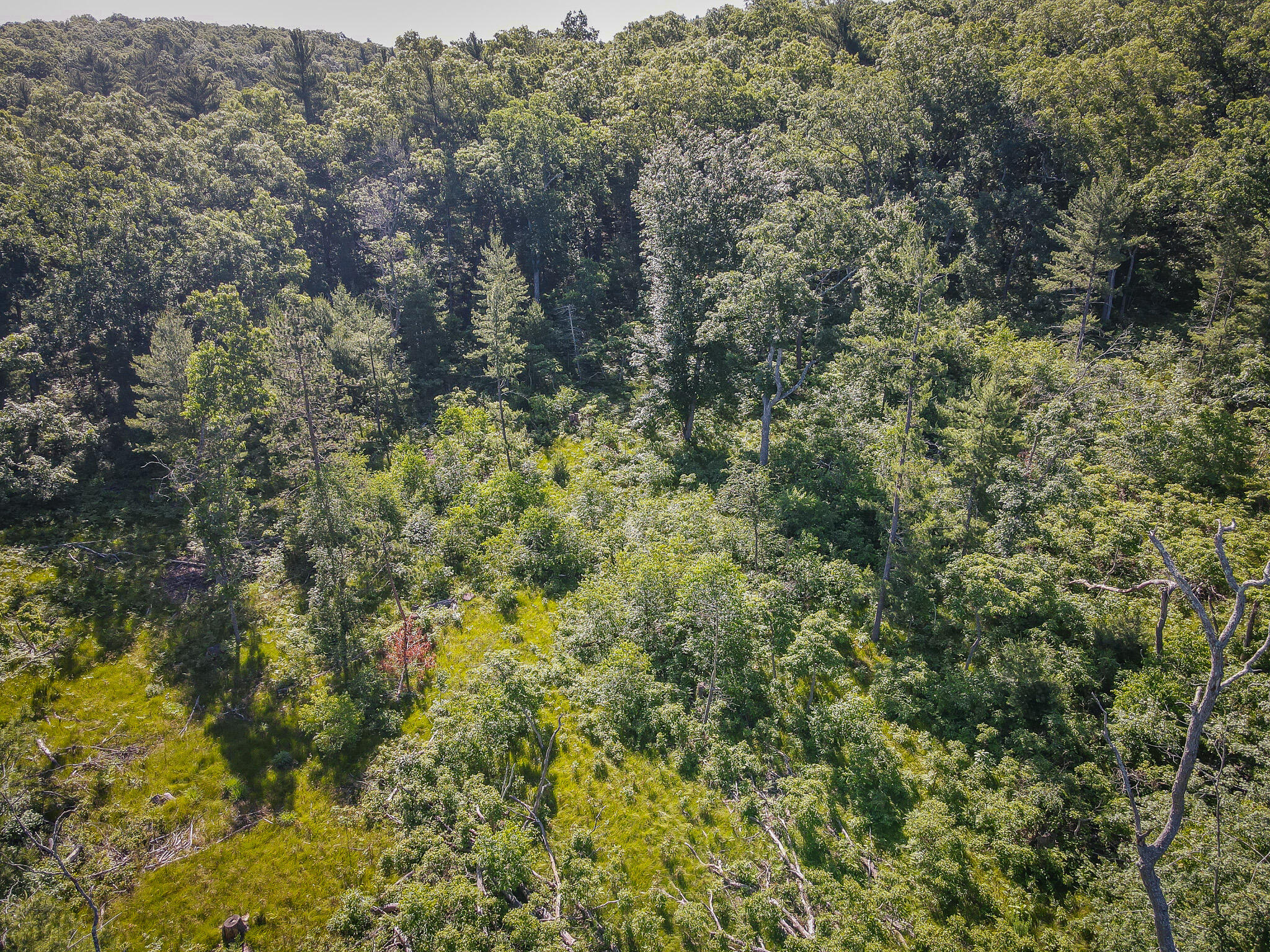 V/l ''c'' Hyde Park Road Whitehall, MI 49461 - Photo 11 of 49 DJI_0062