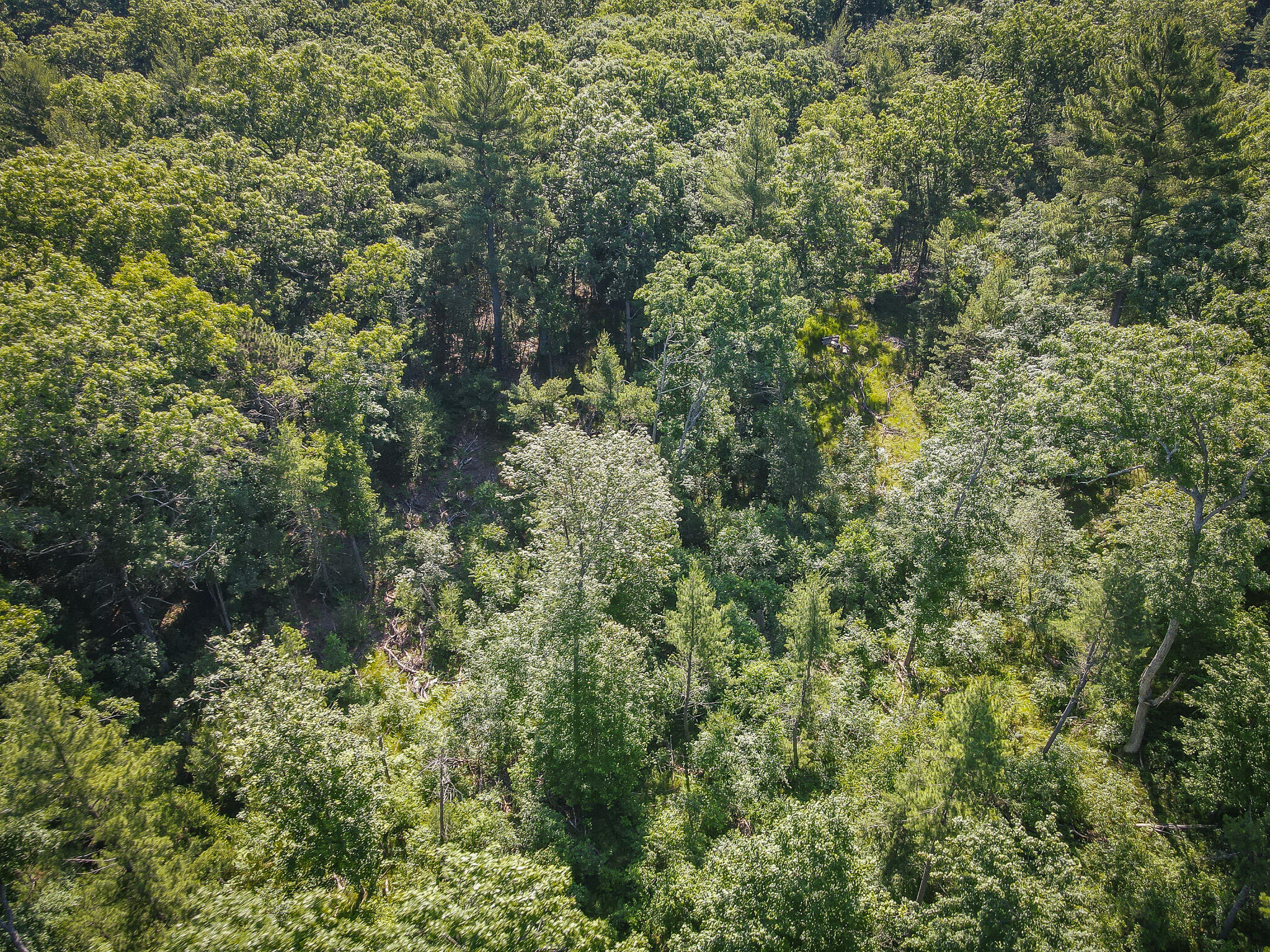 V/l ''c'' Hyde Park Road Whitehall, MI 49461 - Photo 14 of 49 DJI_0065