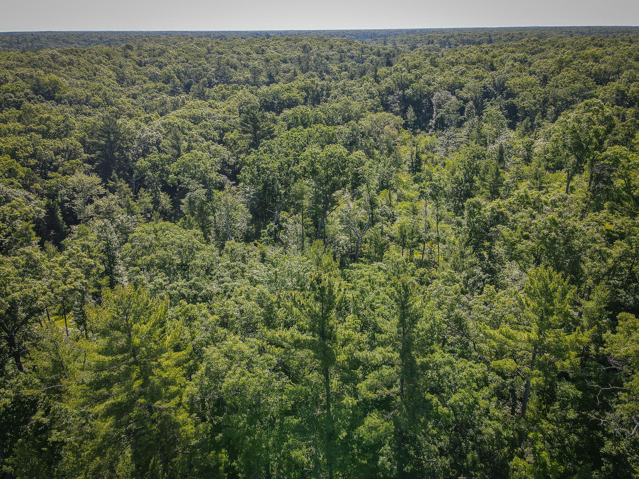 V/l ''c'' Hyde Park Road Whitehall, MI 49461 - Photo 17 of 49 DJI_0068