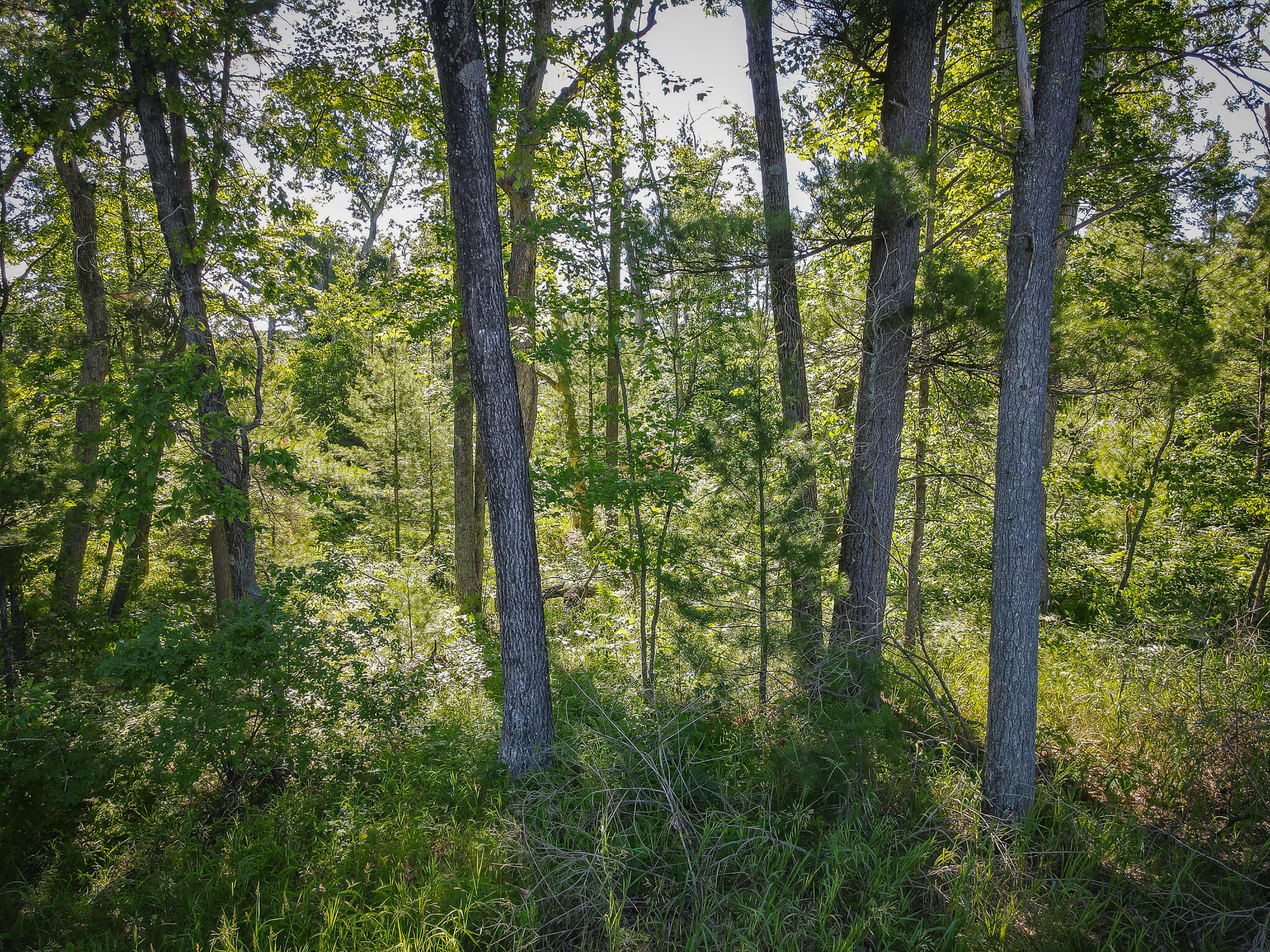 V/l ''c'' Hyde Park Road Whitehall, MI 49461 - Photo 18 of 49 DJI_0071