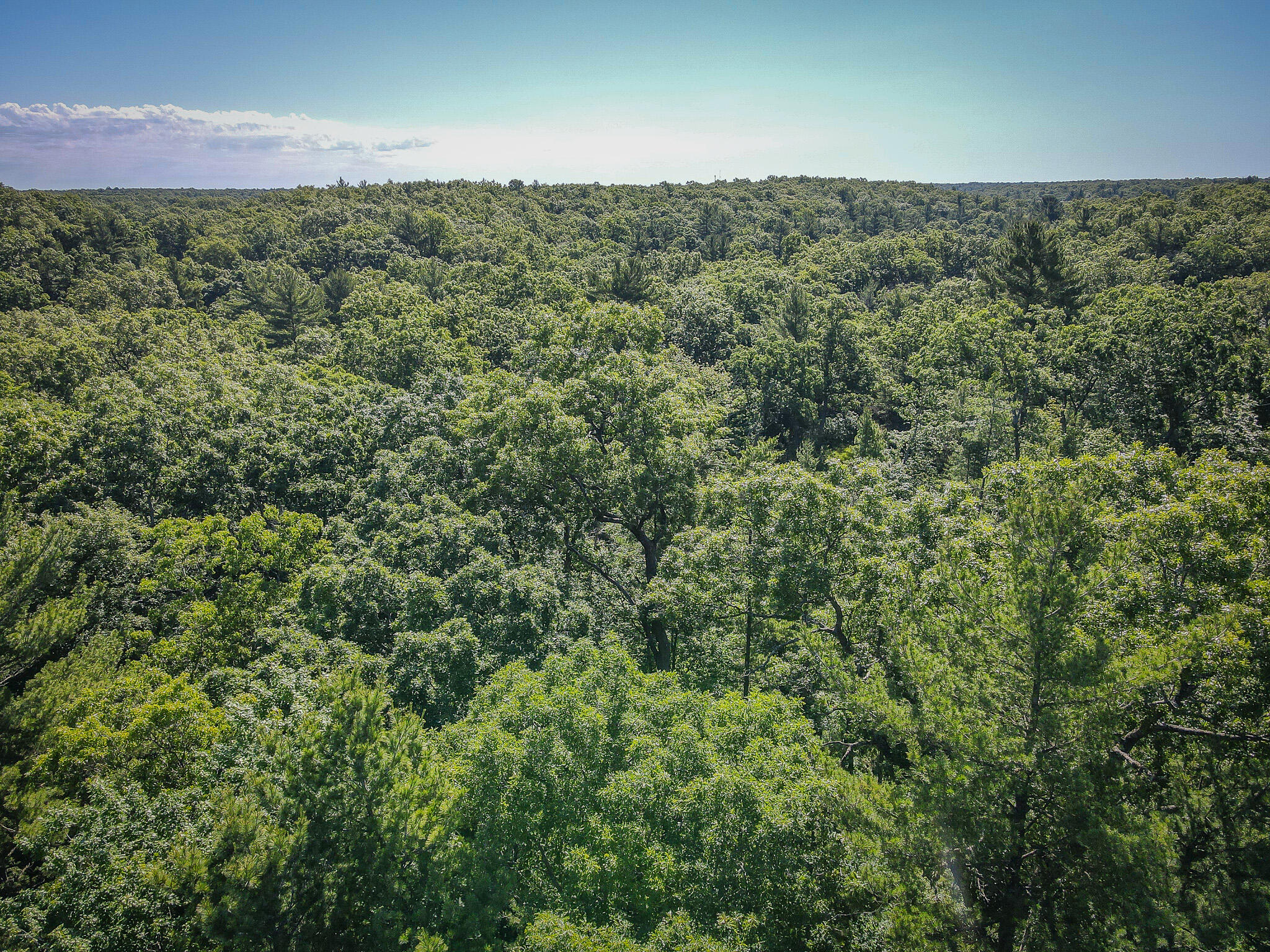 V/l ''c'' Hyde Park Road Whitehall, MI 49461 - Photo 20 of 49 DJI_0073