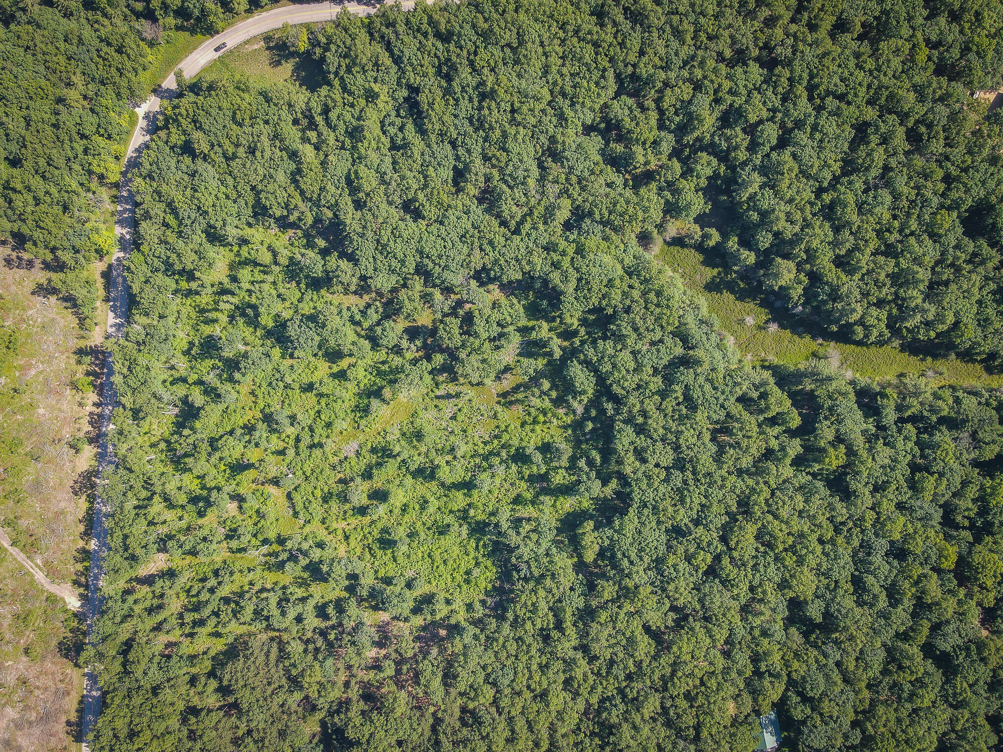 V/l ''c'' Hyde Park Road Whitehall, MI 49461 - Photo 2 of 49 DJI_0075