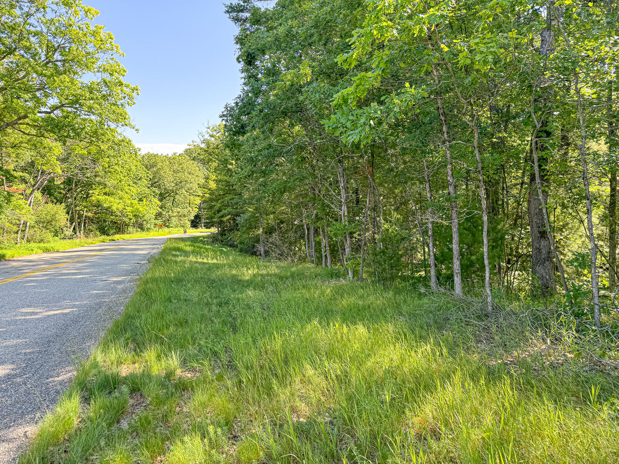 V/l ''c'' Hyde Park Road Whitehall, MI 49461 - Photo 24 of 49 IMG_5555