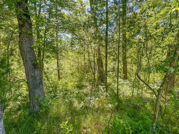 $150,000 | V/l ''f' Hyde Park Road, Whitehall, MI 49461