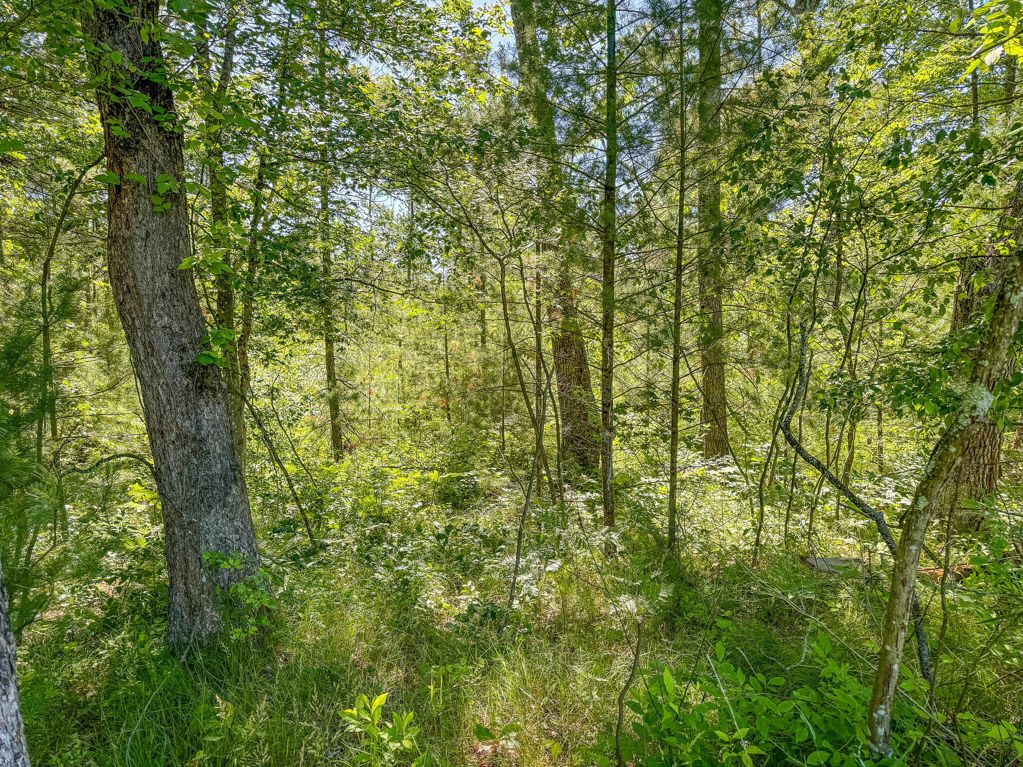 V/l ''c'' Hyde Park Road Whitehall, MI 49461 - Photo 25 of 49 IMG_5556