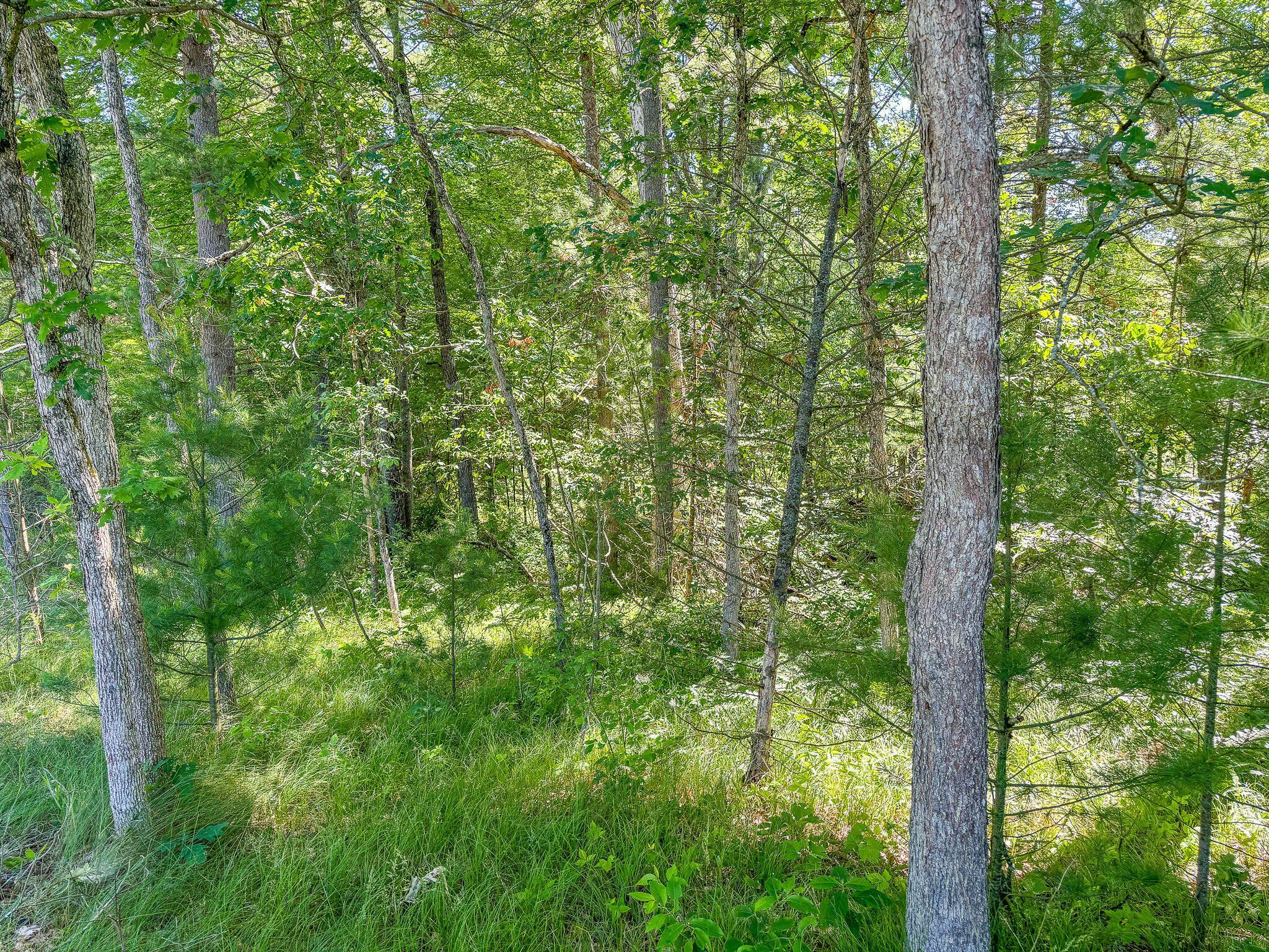 V/l ''c'' Hyde Park Road Whitehall, MI 49461 - Photo 26 of 49 IMG_5559