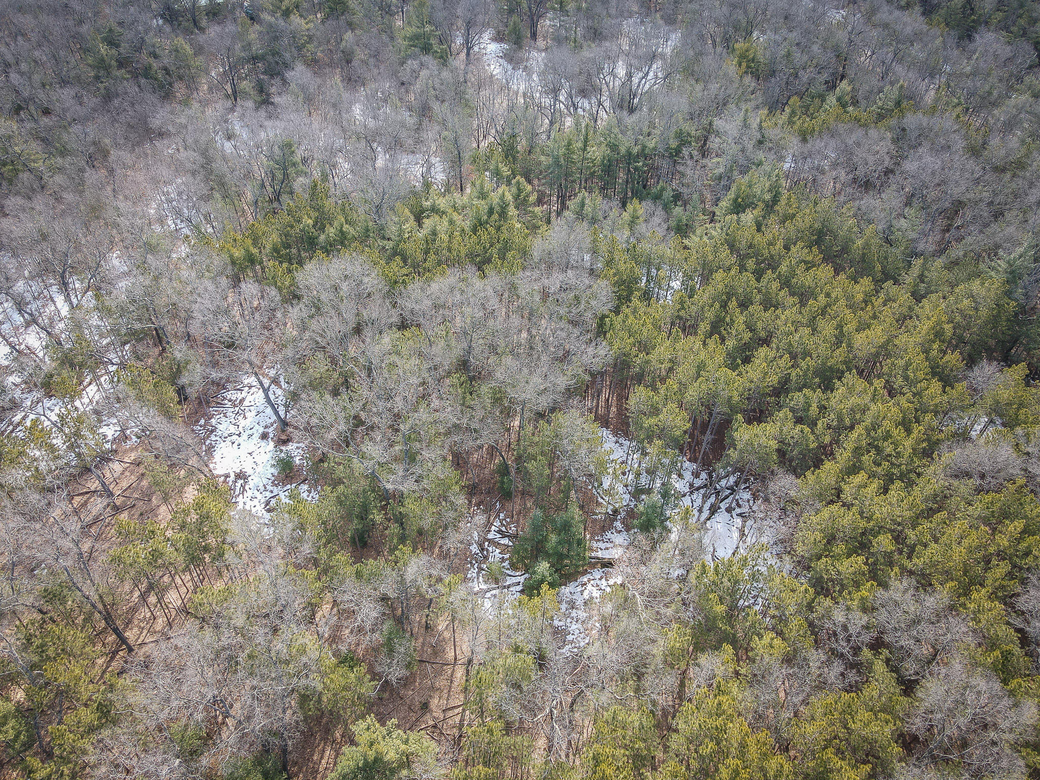 V/l ''c'' Hyde Park Road Whitehall, MI 49461 - Photo 38 of 49 DJI_0111