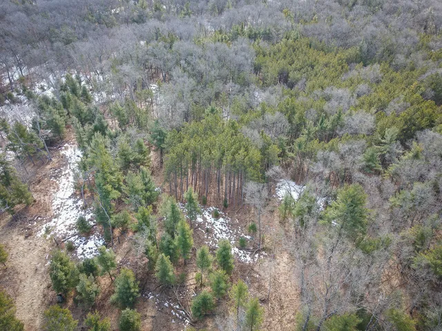 $150,000 | V/l ''c'' Hyde Park Road, Whitehall, MI 49461