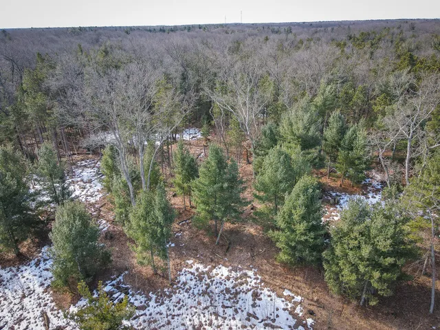 $150,000 | V/l ''c'' Hyde Park Road, Whitehall, MI 49461