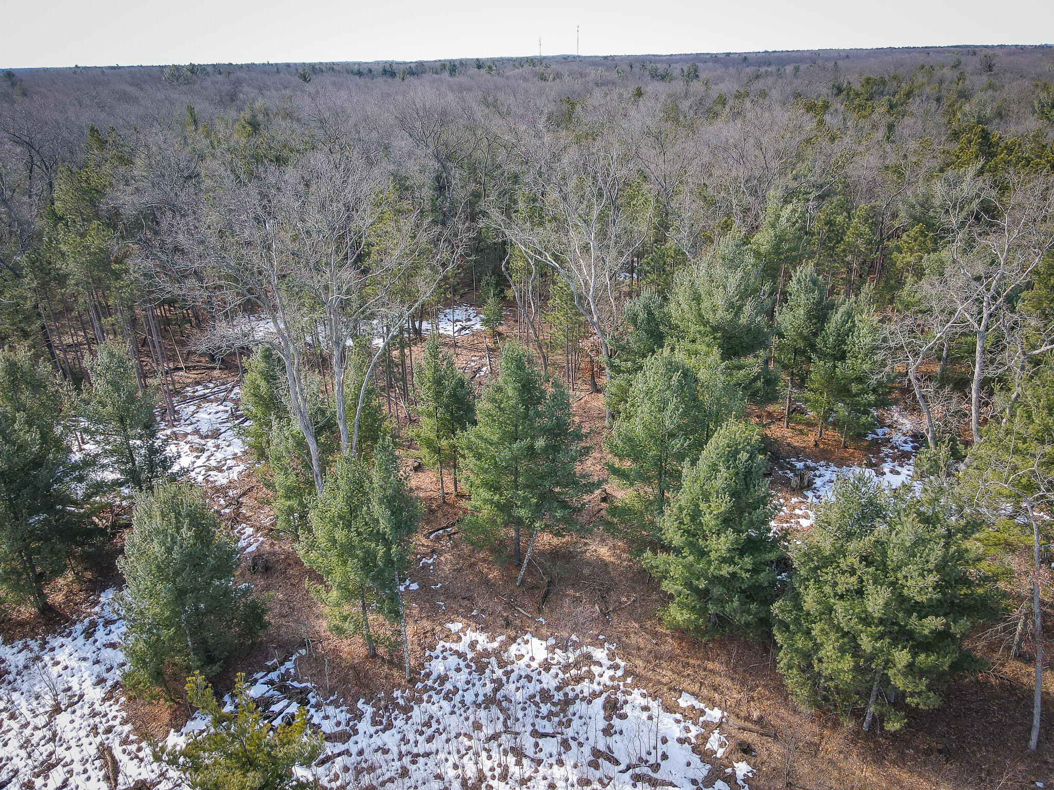 V/l ''c'' Hyde Park Road Whitehall, MI 49461 - Photo 40 of 49 DJI_0118