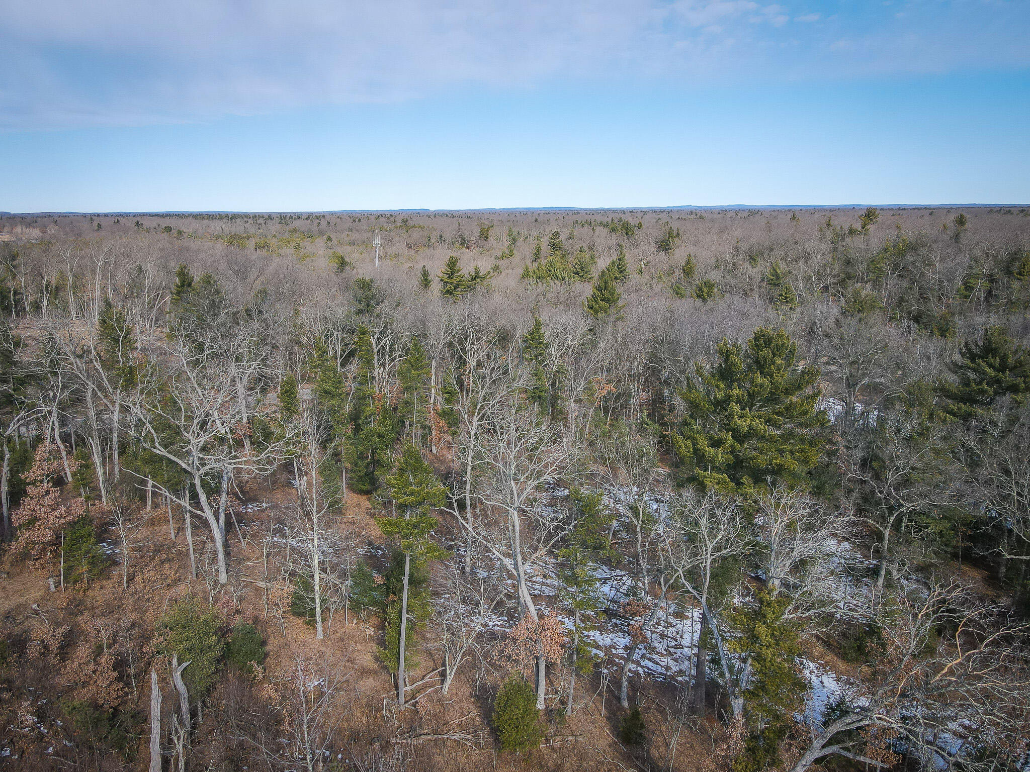 V/l ''c'' Hyde Park Road Whitehall, MI 49461 - Photo 44 of 49 DJI_0132