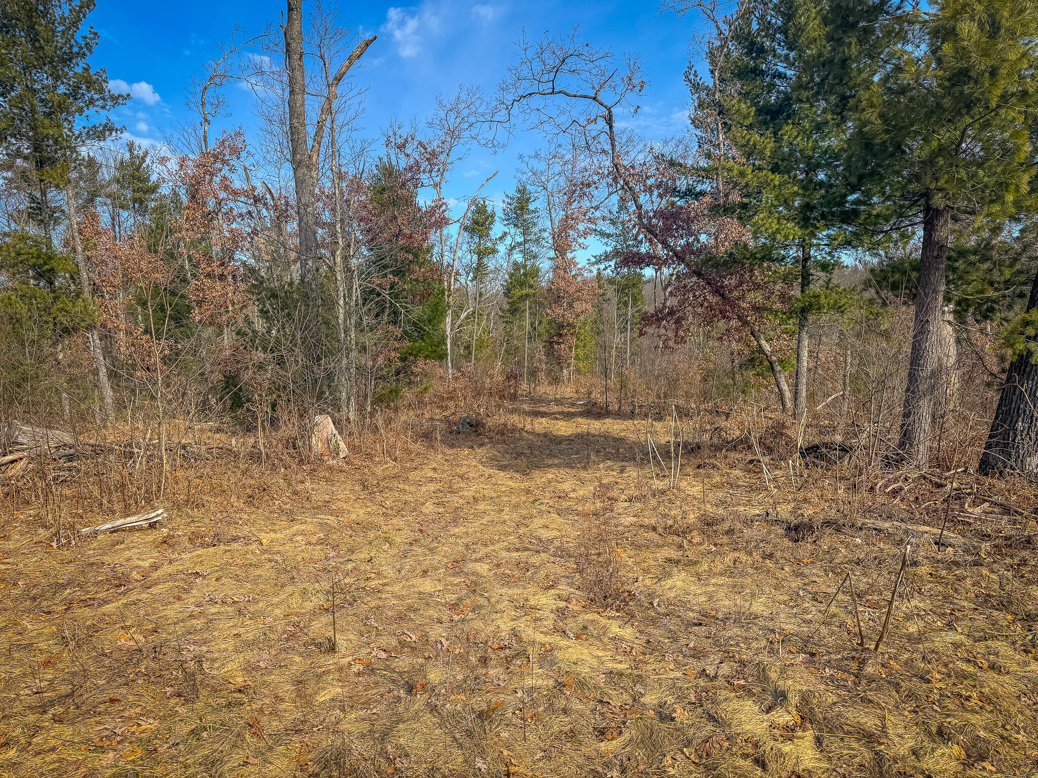 V/l ''c'' Hyde Park Road Whitehall, MI 49461 - Photo 46 of 49 IMG_0418